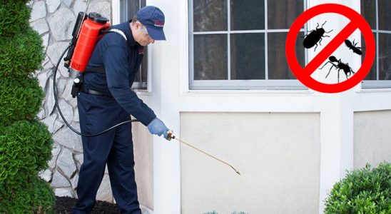Ağlı Böcek İlaçlama böcek ilaçlama ve haşere kontrolü — ilaclama-tr.com